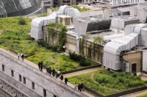 Groendak op gemeentehuis Chigago
