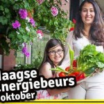 Haagse Energiebeurs met Groendak