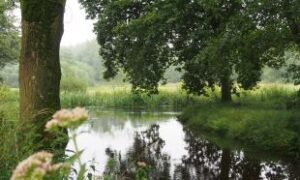 groen en water
