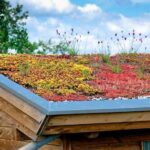 Leusden: Subsidie groene daken en groene gevels