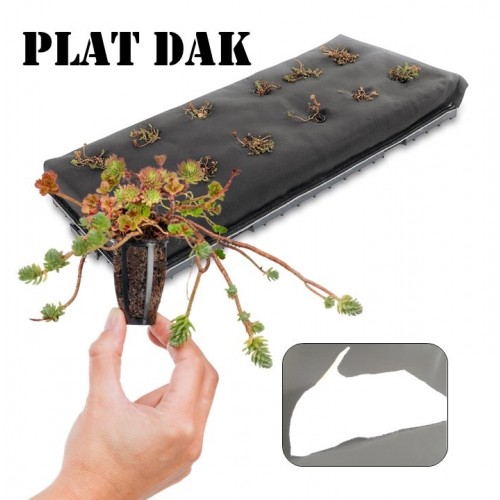 Groendakpockets plat dak