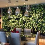 Productcategorie Minigarden Groengevel