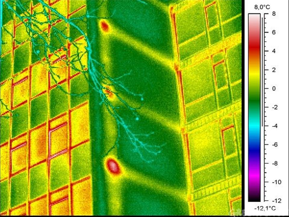 Thermografisch onderzoek