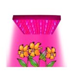 Productcategorie Licht